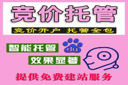 sem竞价推广托管案例：效果显著，投资回报率高